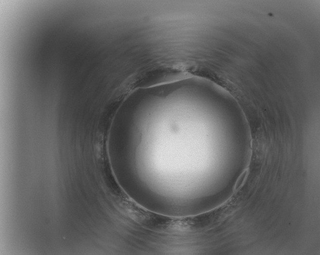 X0000072990656200607290015