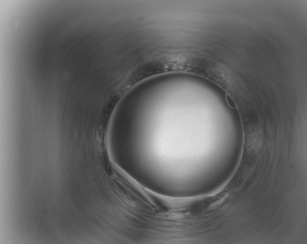 X0000072990661200607290015