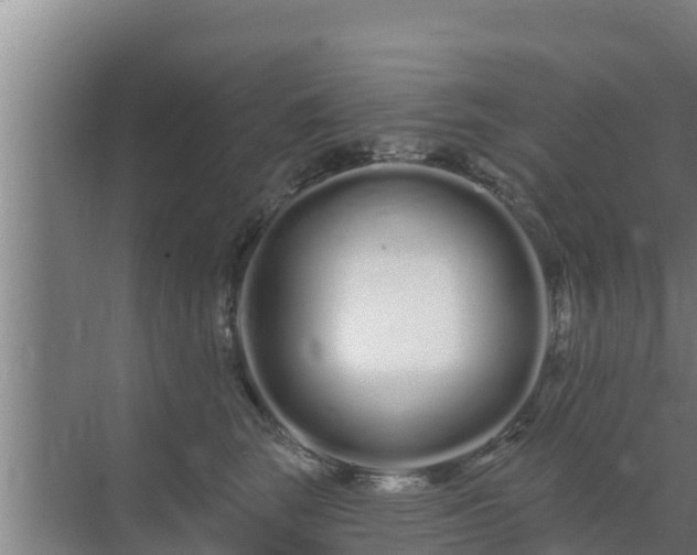 X0000072990663200607290015