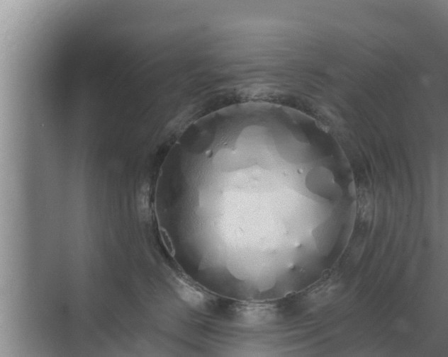 X0000072990670200607290015