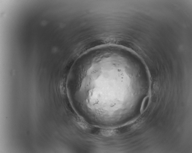 X0000072990671200607290015