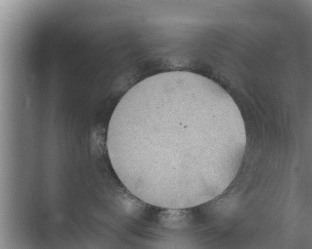 X0000072990672200607290015