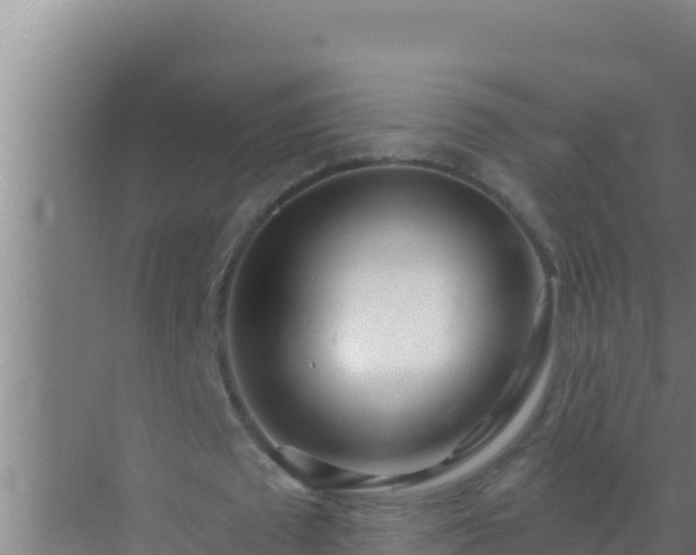 X0000072990673200607290014