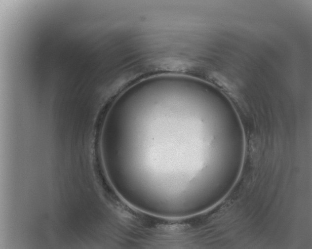 X0000072990679200607290014