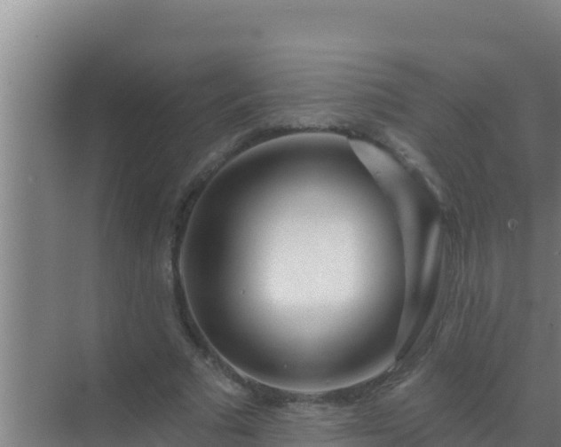 X0000072990681200607290014