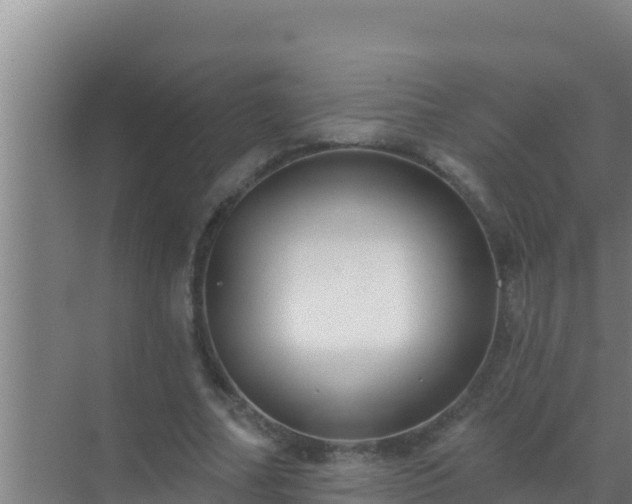 X0000072990682200607290014