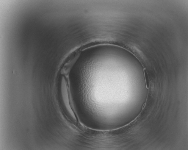 X0000072990684200607290014