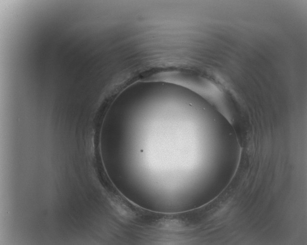 X0000072990685200607290014