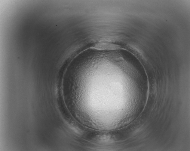 X0000072990687200607290014