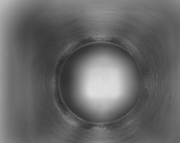 X0000072990690200607290014