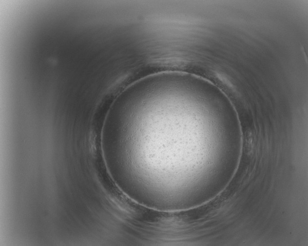 X0000072990692200607290014