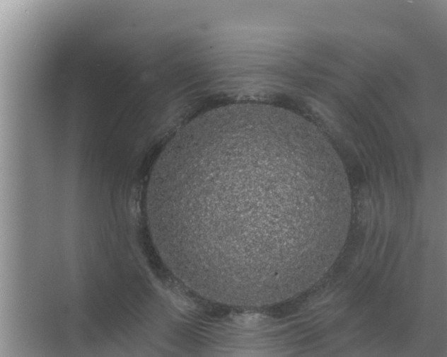 X0000072990695200607290014