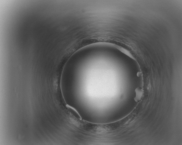 X0000072990697200607290014