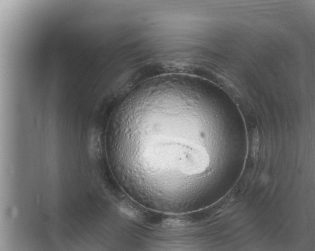 X0000072990699200607290014