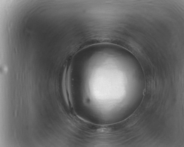 X0000072990700200607290014