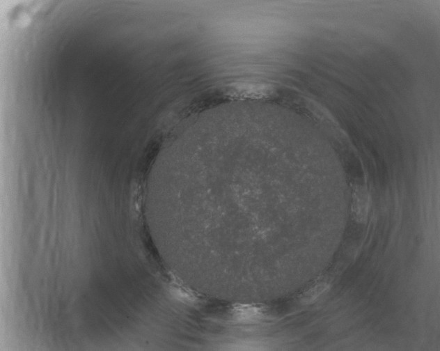 X0000072990701200607290014