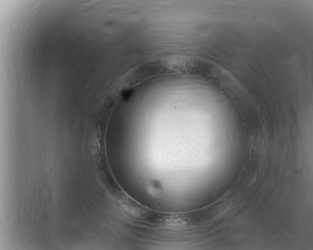 X0000072990702200607290014