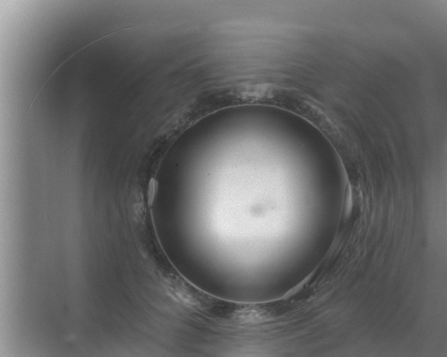 X0000072990704200607290014