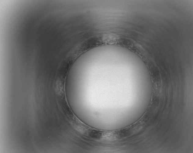 X0000072990705200607290014