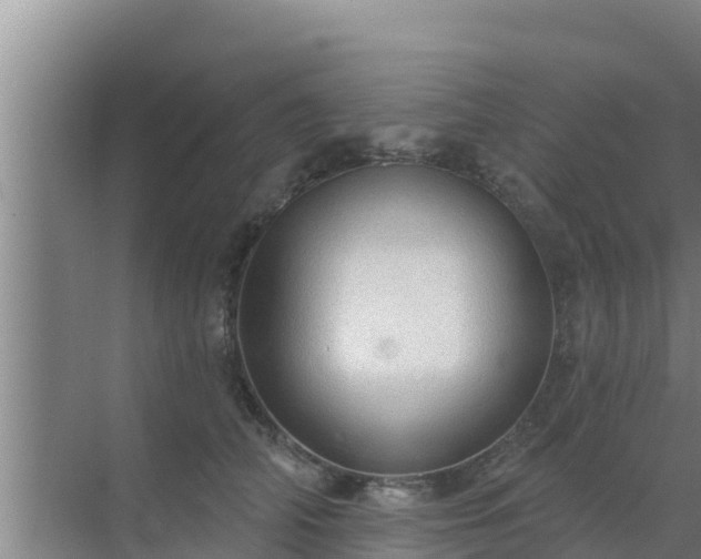 X0000072990706200607290014