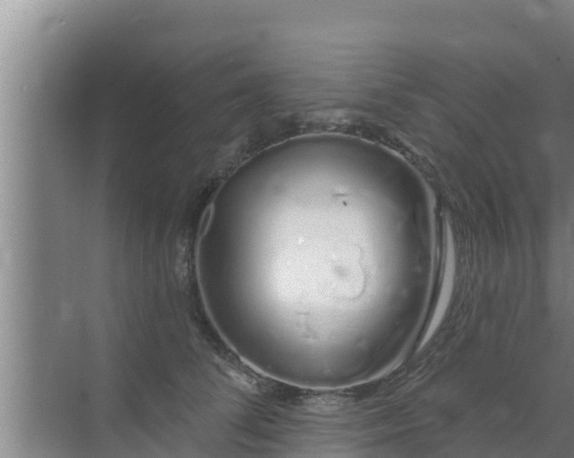 X0000072990708200607290014