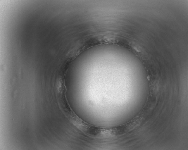 X0000072990709200607290014