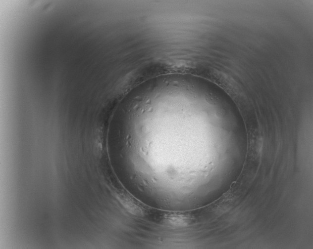 X0000072990710200607290014