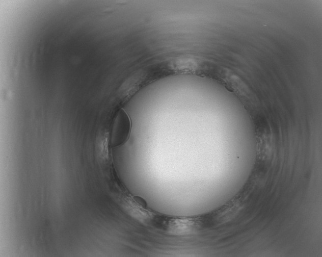 X0000072990717200607290014