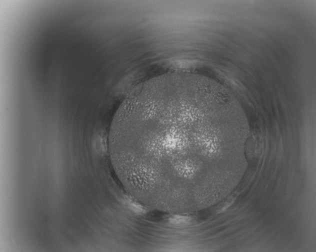 X0000072990718200607290014