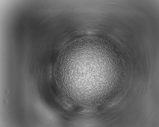 X0000072990720200607290014