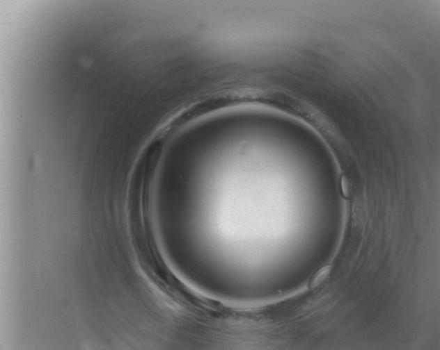 X0000072990722200607290013