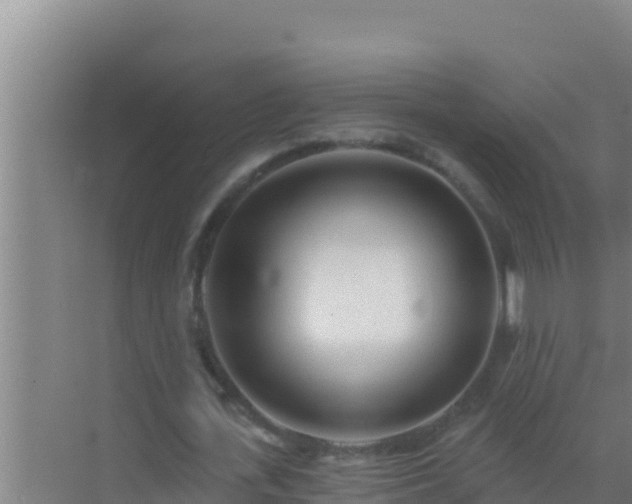 X0000072990723200607290013