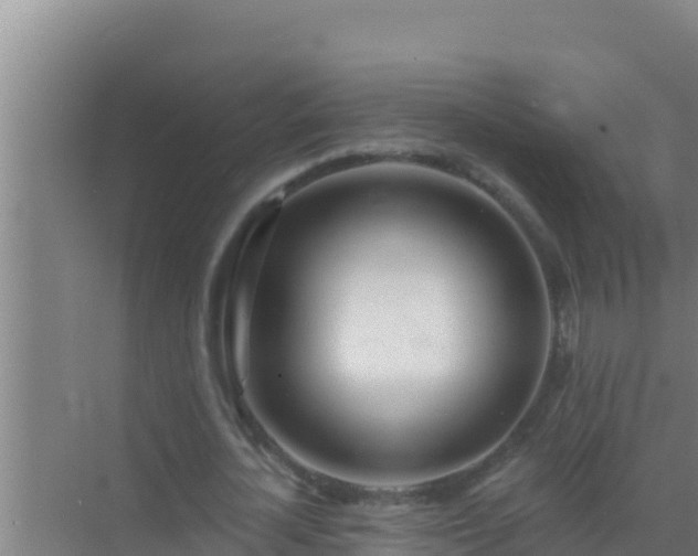 X0000072990724200607290013