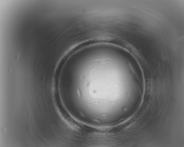 X0000072990726200607290013