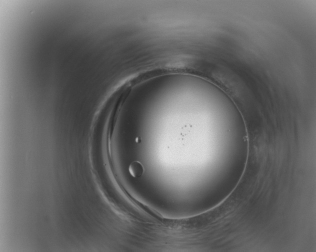 X0000072990728200607290013