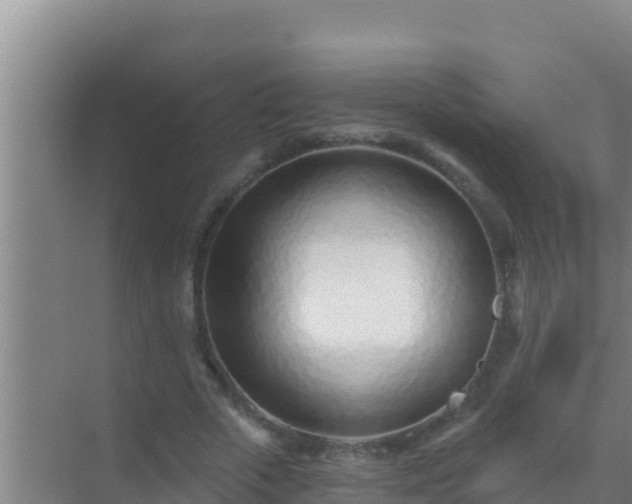 X0000072990729200607290013