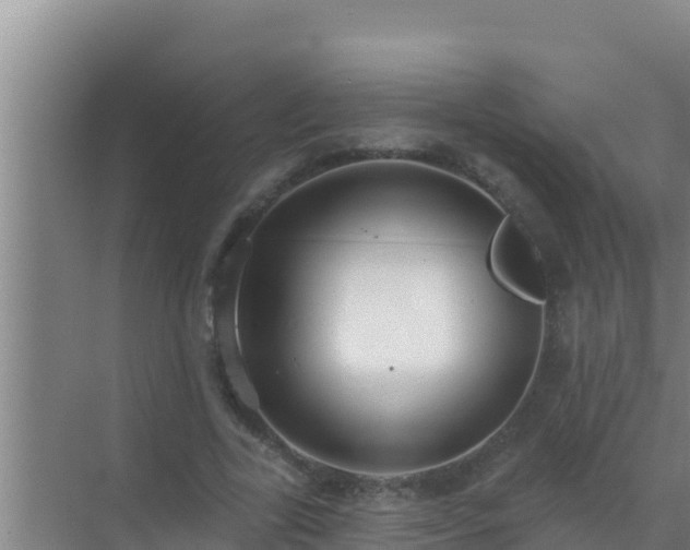 X0000072990731200607290013