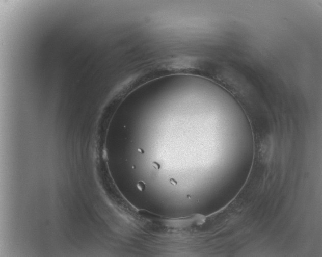 X0000072990732200607290013