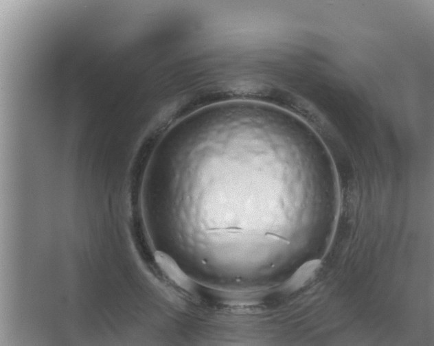 X0000072990734200607290013