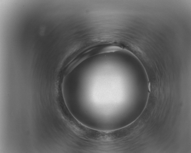 X0000072990735200607290013