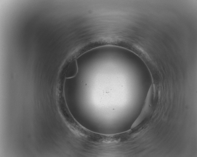 X0000072990736200607290013