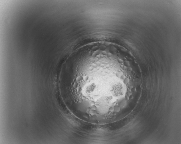 X0000072990737200607290013