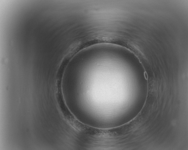 X0000072990738200607290013