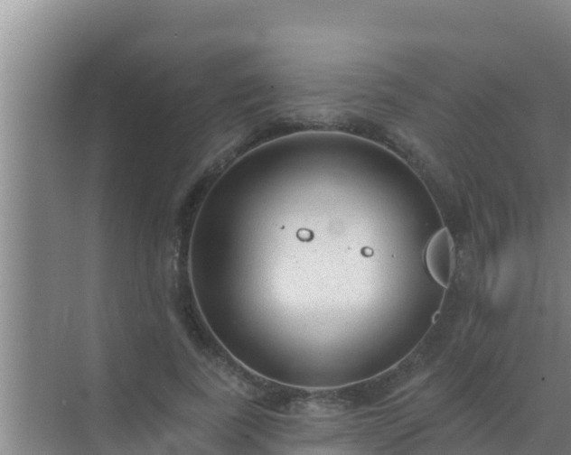 X0000072990739200607290013