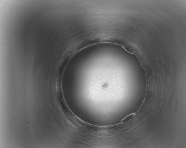 X0000072990740200607290013