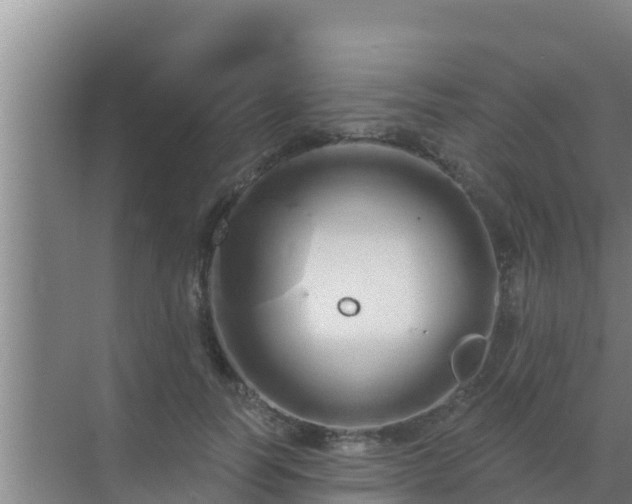 X0000072990746200607290013