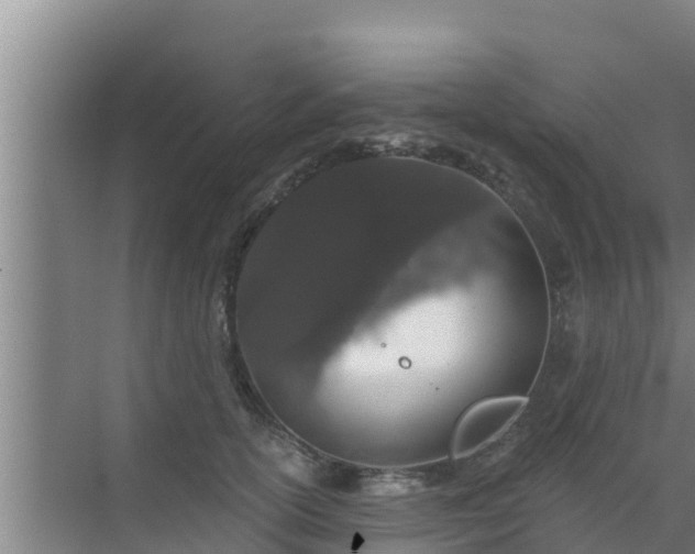 X0000072990754200607290013