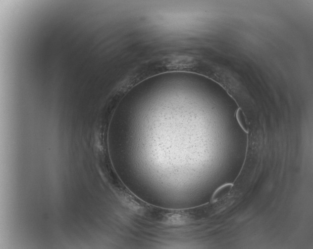 X0000072990755200607290013