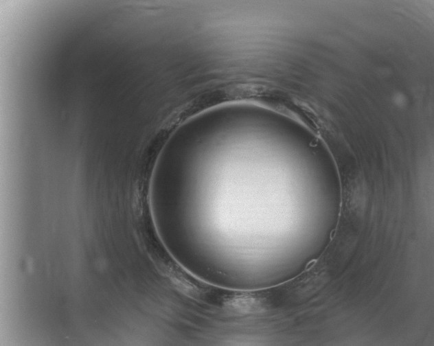 X0000072990759200607290013