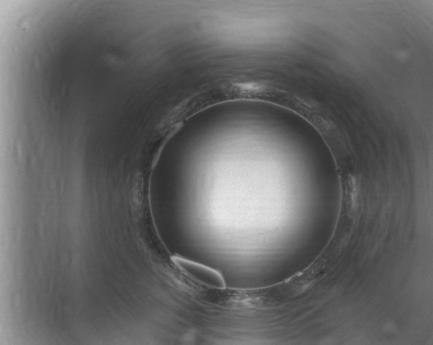 X0000072990760200607290013